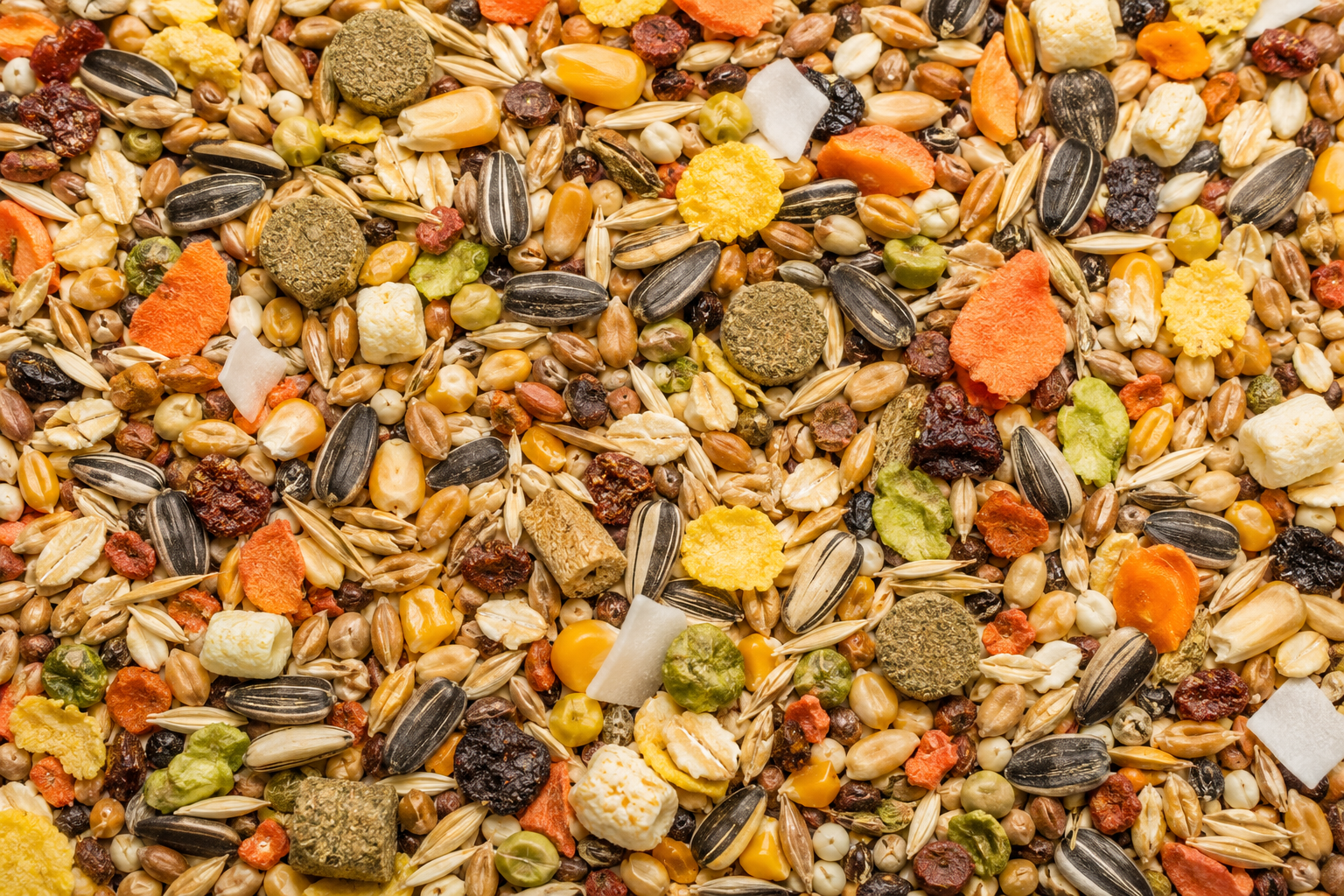 🌾 L'alimentation du hamster : les bases pour une bonne santé