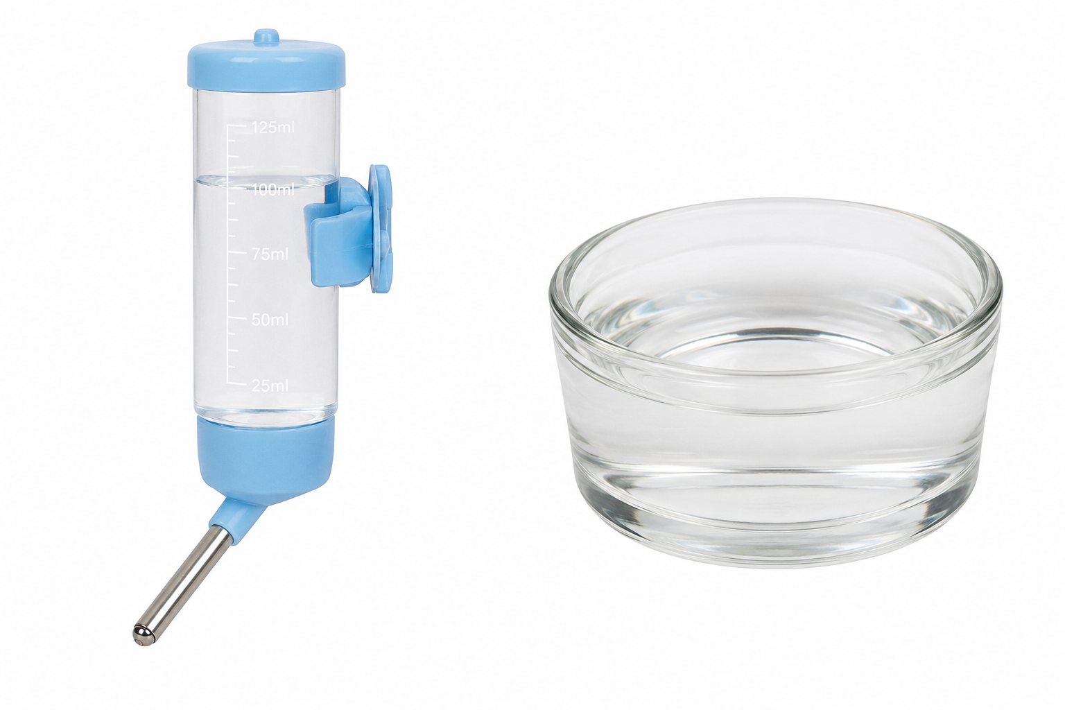 💧 Eau du robinet ou eau en bouteille : laquelle choisir pour son hamster ?